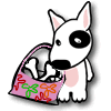 Herzlich Willkommen bei 10.000.Dogs!