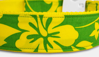 Pua - Hawaii Hundehalsband - grün - gelb