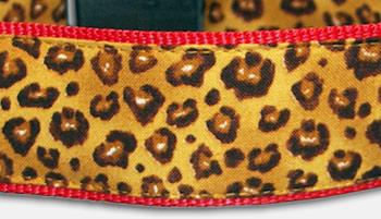Little Leopard - Rockabilly Hundehalsband
