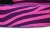 The purple Zebra - Hundehalsband