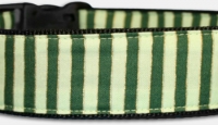 Green Green Streifen - Halsband