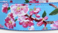 Kirschblüten - Hundehalsband