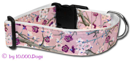 Purple Blossom Pflaumenblüten Hunde Halsband
