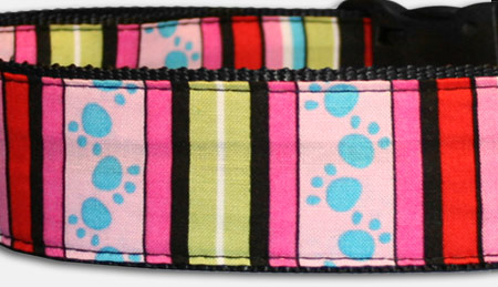 Streifen Pfoten - Hundehalsband