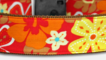 Aloha 2024 Hawaii - Hundehalsband - rot