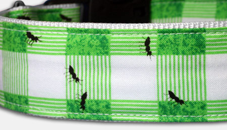 Ants - Ameisen - Hundehalsband