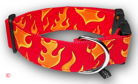 Knallrotes Feuer - Flammen - Halsband