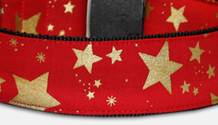 Golden Star - Hundehalsband