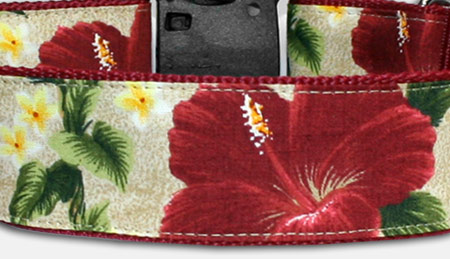 Hibiskus & Plumeria - Hawaii - Hundehalsband