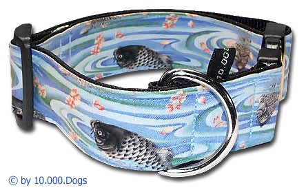 Koi Halsband