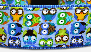 Little Owl - Eulen - Hundehalsband - blau