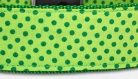 Mini Dot Pünktchen - Halsband