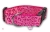 Pink! Leoparden Halsband