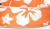 Pua - Hawaii Hunde Halsband - orange