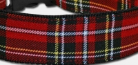 Tartan Karo Hundehalsband - rot