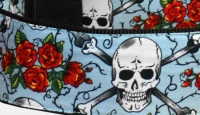 Skulls & Roses Hundehalsband - hellblau