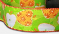 Orange Apple - Apfel - Hundehalsband