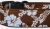 Aloha Surf Hawaii Halsband - braun