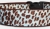 Roaaaaaaaaar Leoparden Halsband - hellblau