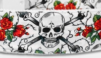 Skulls & Roses Hundehalsband - weiss