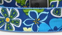 Aloha 2024 Hawaii - Hundehalsband - blau