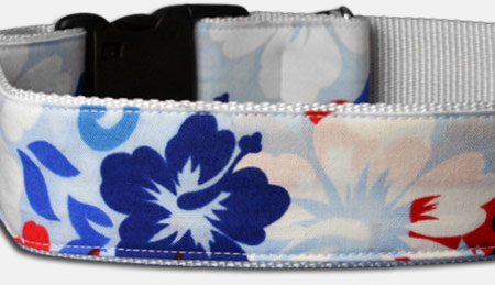 Maui Aloha Hawaii - Hundehalsband - hellblau