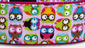 Little Owl - Eulen - Hundehalsband - rosa