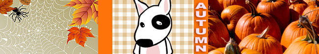 10.000.Dogs